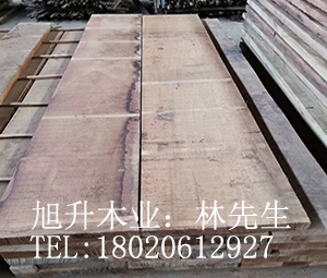 欖仁木供應(yīng) 欖仁木價格 批發(fā)紅褐欖仁木TER 紅欖仁價格 欖仁木廠家